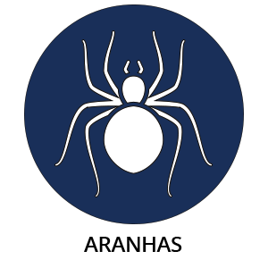 Aranhas