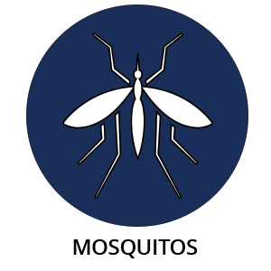 Mosquitos