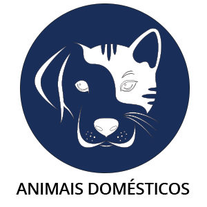 Animais domésticos