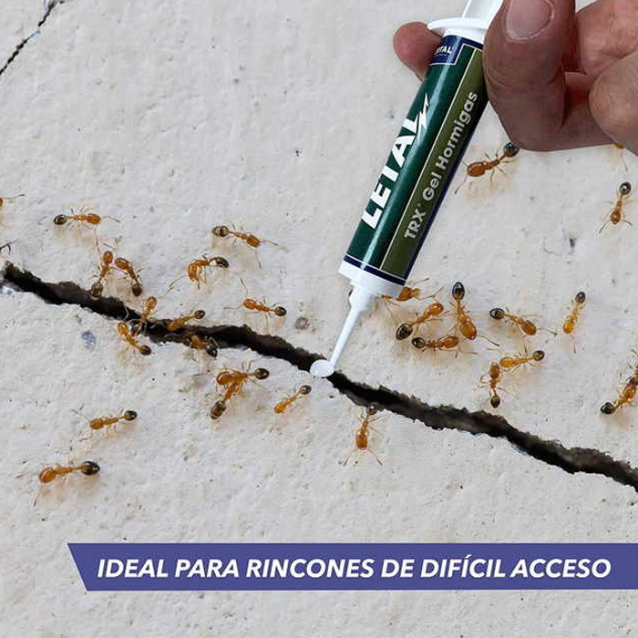 Gel anti-formigas 10gr jardim e casa ZT