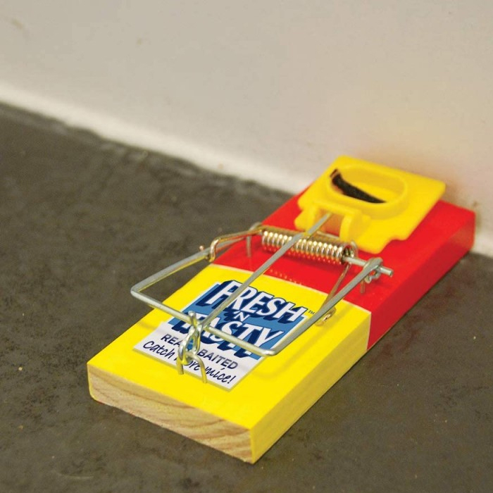 Armadilha Plastificada para Ratos com Isco Fresco S