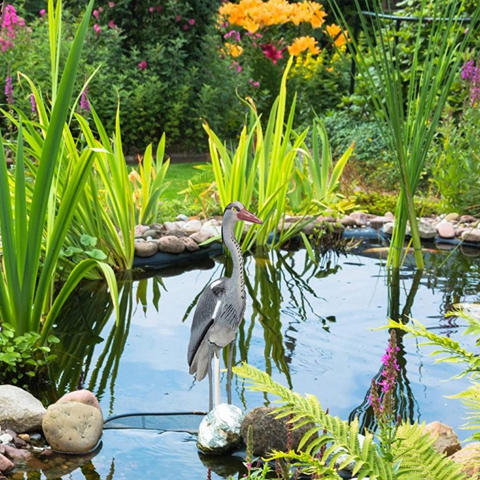 Garça espantalho stv