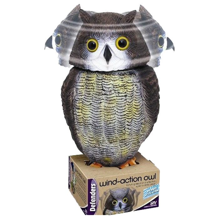 Coruja Espantalho STV