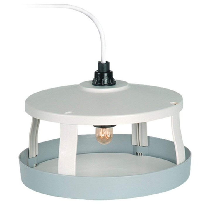 Armadilhas para Pulgas K